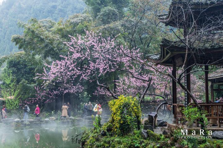 失忆症：黑暗后裔