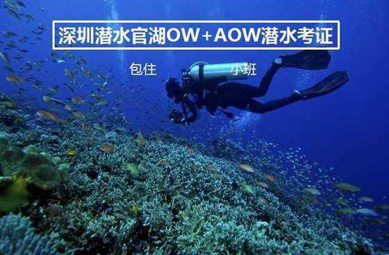火柴人拯救大冒险